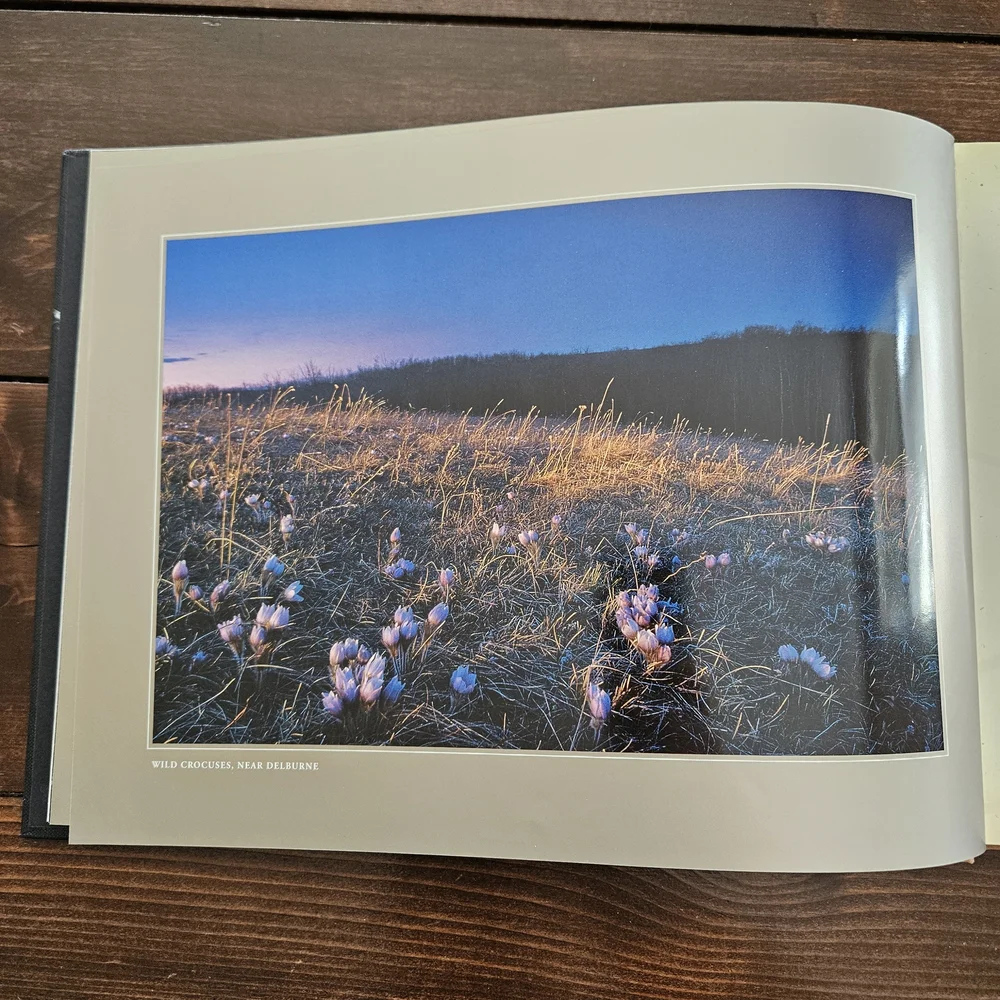 Alberta: Images by Daryl Benson -‎ Hardcover Photo Coffee Table Book Light Brown - Picture 3 of 8